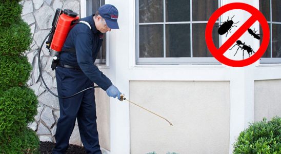 Gülşehir Sivrisinek İlaçlama böcek ilaçlama ve haşere kontrolü — ilaclama-tr.com